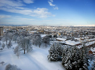 picture